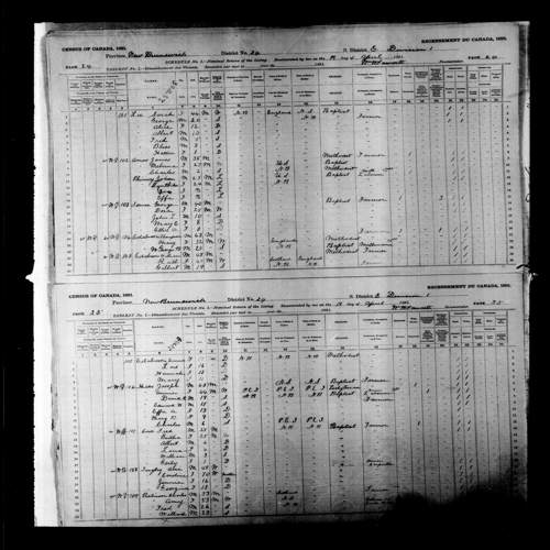 Digitized page of Census of Canada, 1891, Page number 24-25, for Amy Robinson