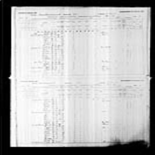 Digitized page of Census of Canada, 1891, Page number 38-39, for Paul Terrio