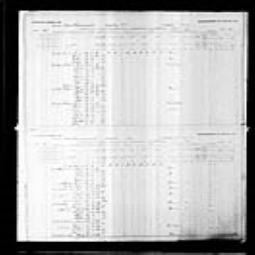 Digitized page of Census of Canada, 1891, Page number 46-47, for Placide Gaudet