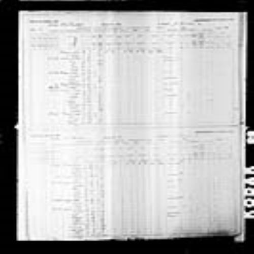 Digitized page of Census of Canada, 1891, Page number 52-53, for Joseph Viennot