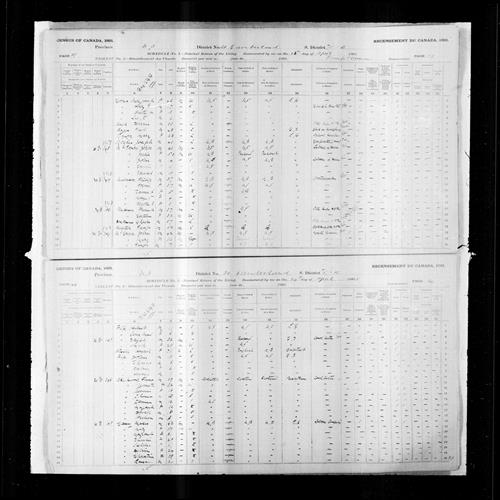 Digitized page of Census of Canada, 1891, Page number 39-44, for Philip Melinson
