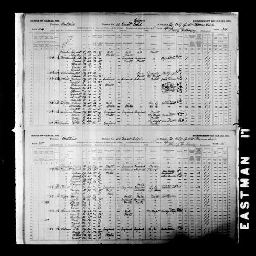 Digitized page of Census of Canada, 1891, Page number 34-35, for Charlotte Loftus