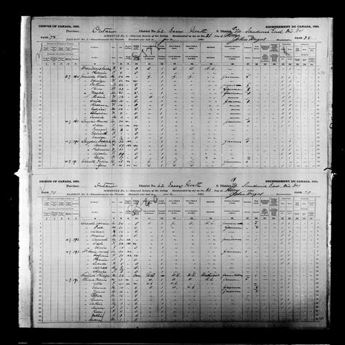 Digitized page of Census of Canada, 1891, Page number 78-79, for Edmond Revard