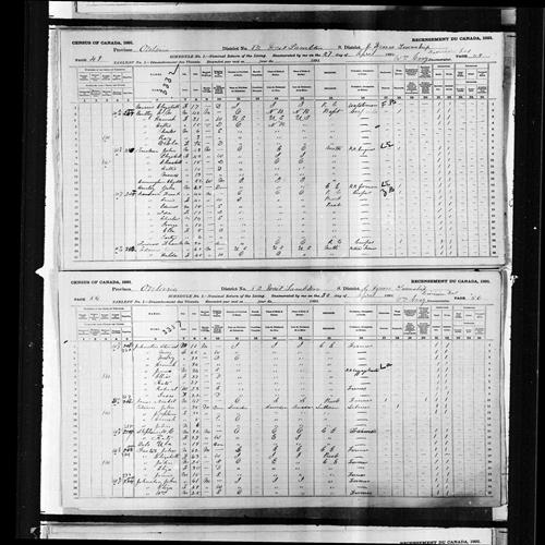 Digitized page of Census of Canada, 1891, Page number 49-56, for John Johnston