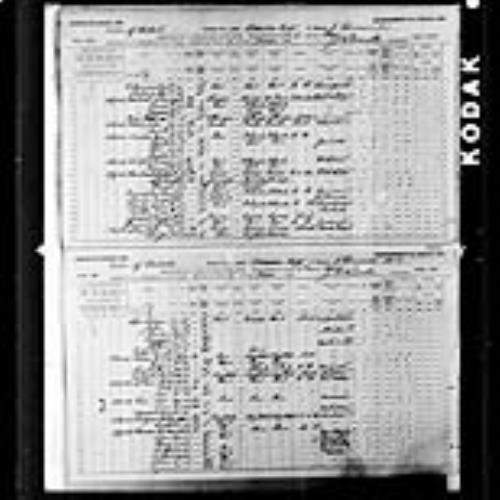 Digitized page of Census of Canada, 1891, Page number 100-101, for John MacDonald