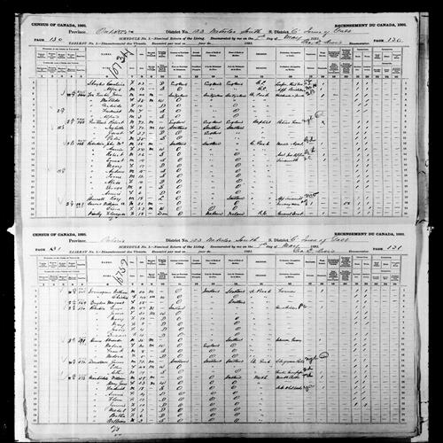Digitized page of Census of Canada, 1891, Page number 130-131, for Alexander Hinne