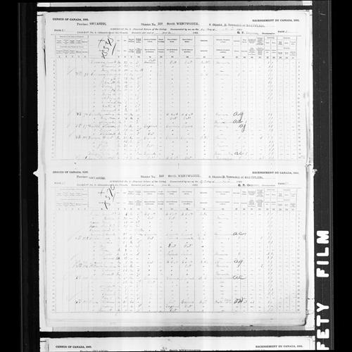 Digitized page of Census of Canada, 1891, Page number 20-21, for Jonathan Pottruff