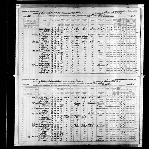 Digitized page of Census of Canada, 1891, Page number 45-48, for Sophia Gaudette