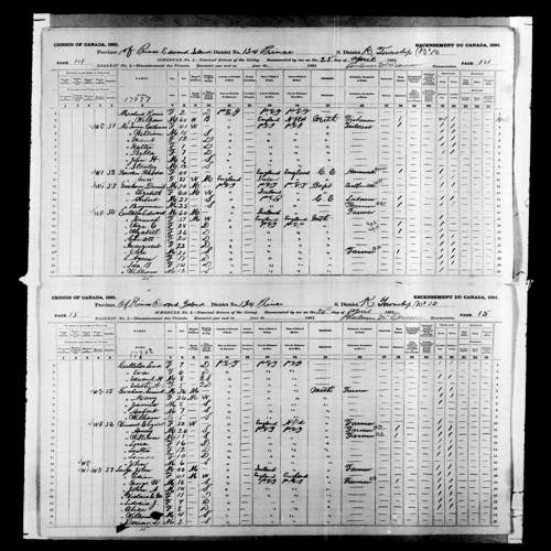 Digitized page of Census of Canada, 1891, Page number 14-15, for Alice Large