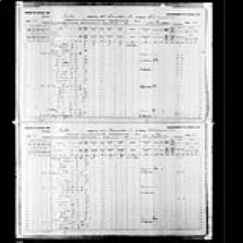 Digitized page of Census of Canada, 1891, Page number 12-13, for Hypolite Bourque