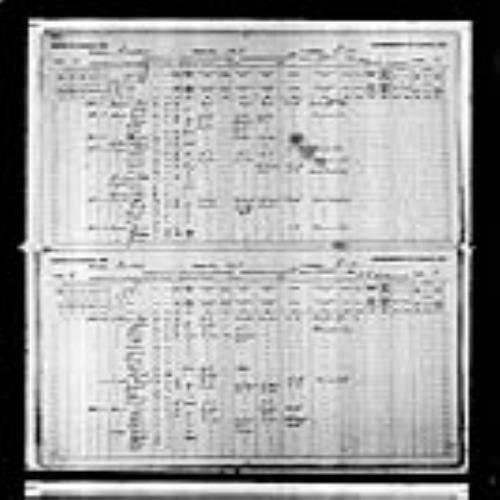 Digitized page of Census of Canada, 1891, Page number 2-3, for Alice Bourn