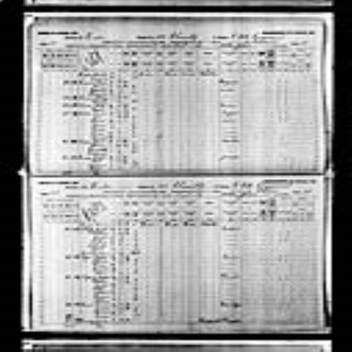 Digitized page of Census of Canada, 1891, Page number 28-29, for James Browning