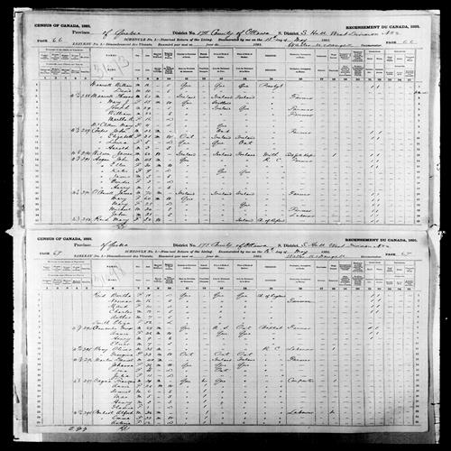 Digitized page of Census of Canada, 1891, Page number 66-67, for Arthur Reid