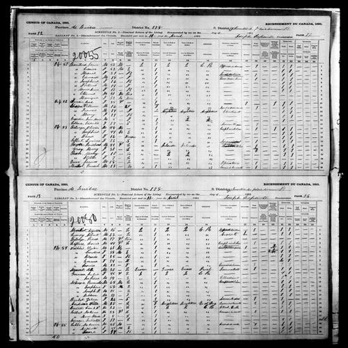 Digitized page of Census of Canada, 1891, Page number 12-13, for Elzear Dechene