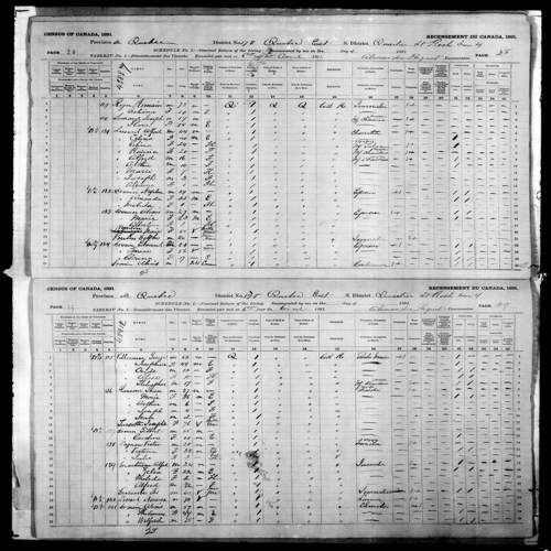 Digitized page of Census of Canada, 1891, Page number 28-29, for Napoleon Drouin