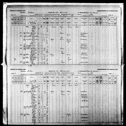 Digitized page of Census of Canada, 1891, Page number 16-17, for Agnes Blue