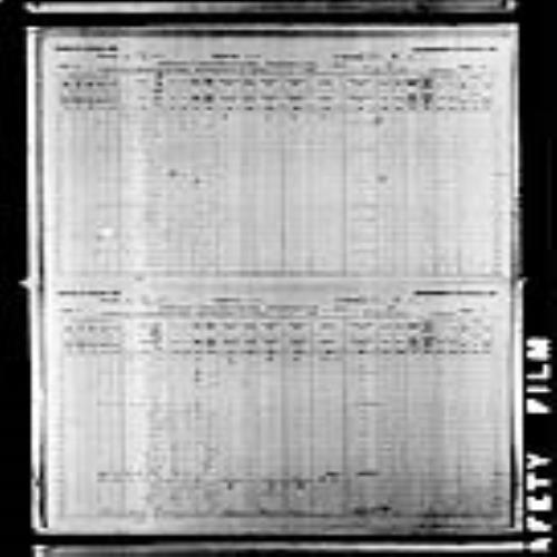 Digitized page of Census of Canada, 1891, Page number 2-3, for Gustave Vekeman