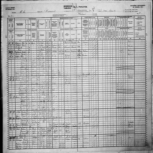 Digitized page of Census of Canada, 1901, Page number 7, for William Matilda