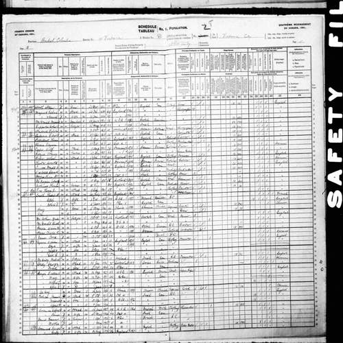 Digitized page of Census of Canada, 1901, Page number 11, for Wolff Casper