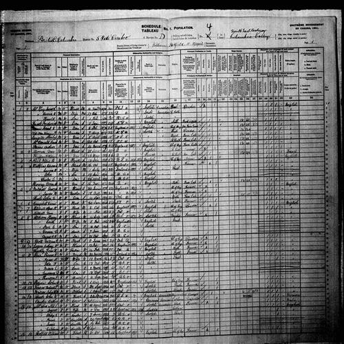 Digitized page of Census of Canada, 1901, Page number 1, for William G. Botts