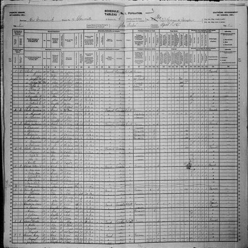 Digitized page of Census of Canada, 1901, Page number 1, for Larry Arsineau
