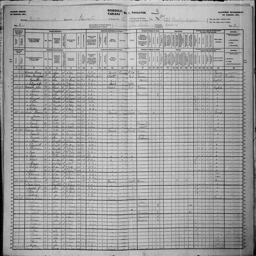 Digitized page of Census of Canada, 1901, Page number 3, for Xavier Vienneau