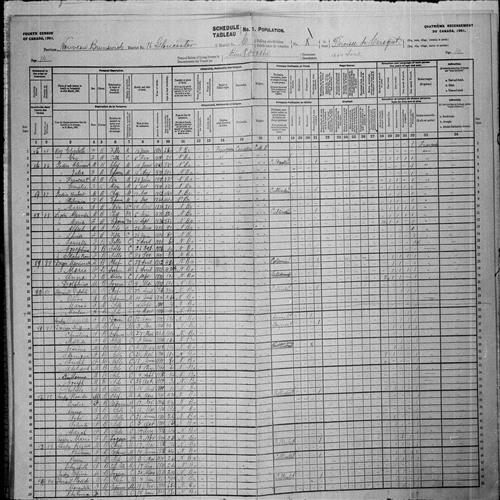 Digitized page of Census of Canada, 1901, Page number 14, for Ploside Landry