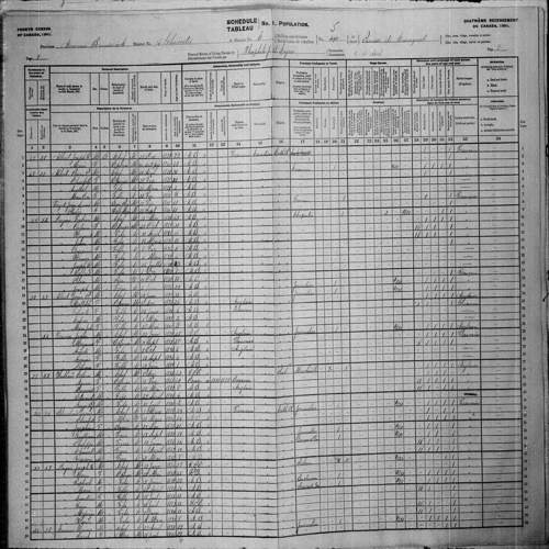 Digitized page of Census of Canada, 1901, Page number 8, for Jean P. Albert