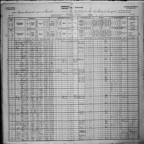 Digitized page of Census of Canada, 1901, Page number 9, for Albert V. Albert