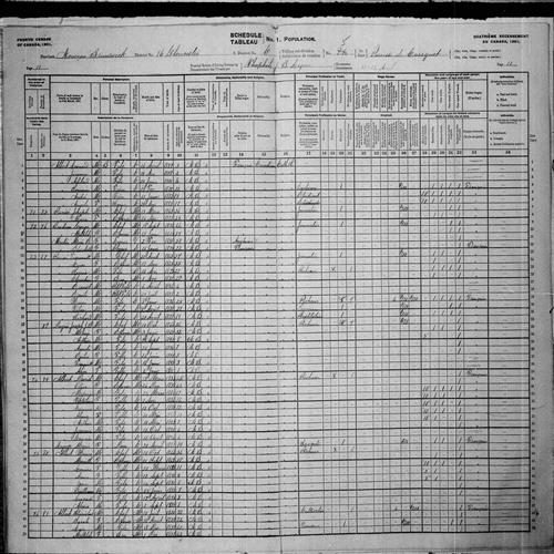 Digitized page of Census of Canada, 1901, Page number 11, for David Albert