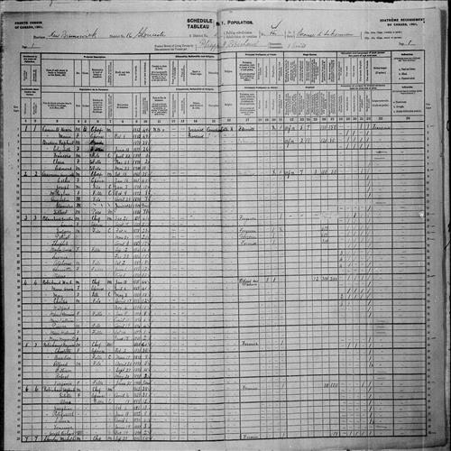 Digitized page of Census of Canada, 1901, Page number 1, for Dorithé Blanchard