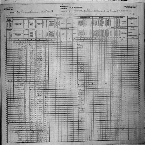 Digitized page of Census of Canada, 1901, Page number 1, for Charle Pinel