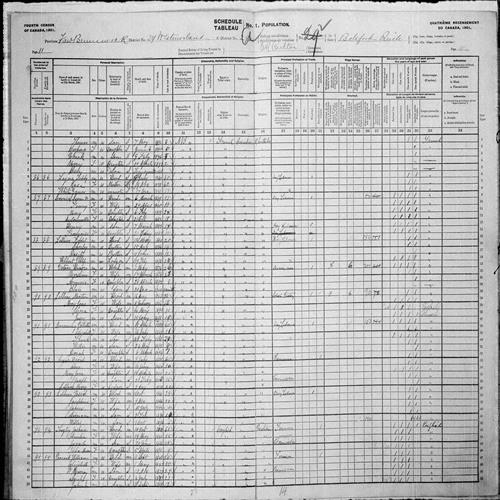 Digitized page of Census of Canada, 1901, Page number 11, for Pascal Leblanc