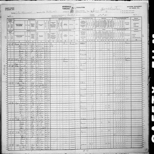 Digitized page of Census of Canada, 1901, Page number 9, for Ferdinand Leblanc