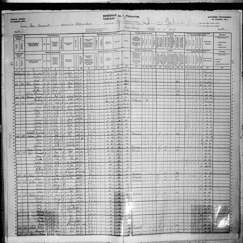 Digitized page of Census of Canada, 1901, Page number 20, for Dominique C Leger
