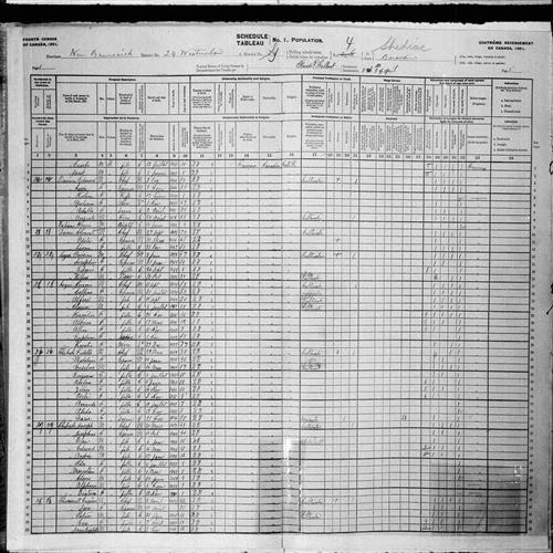Digitized page of Census of Canada, 1901, Page number 5, for Edmond Doiron