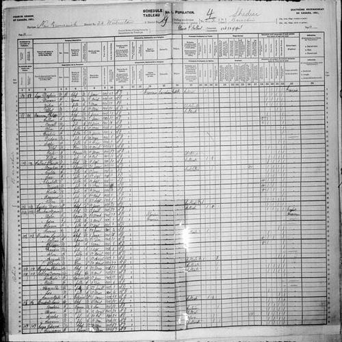 Digitized page of Census of Canada, 1901, Page number 14, for Placide Gallant
