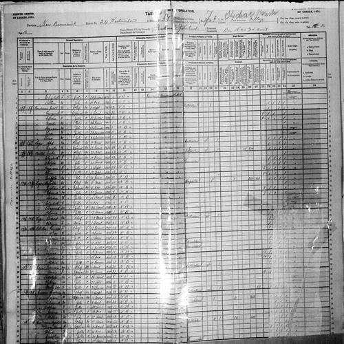Digitized page of Census of Canada, 1901, Page number 16, for Andre Ouillet