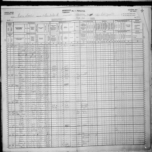 Digitized page of Census of Canada, 1901, Page number 20, for William Spicer