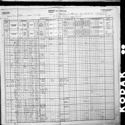 Digitized page of Census of Canada, 1901, Page number 25, for Philip Melanson