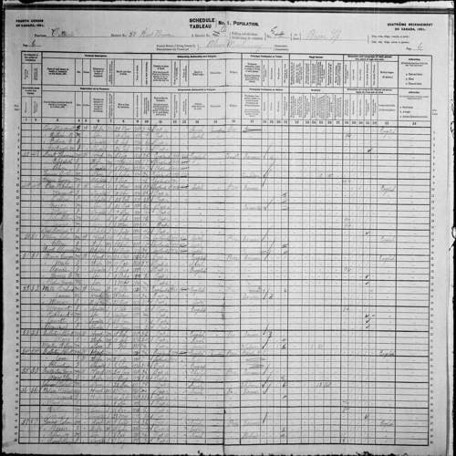 Digitized page of Census of Canada, 1901, Page number 6, for Jane Fullerton