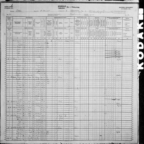 Digitized page of Census of Canada, 1901, Page number 6, for Thomas Seymore