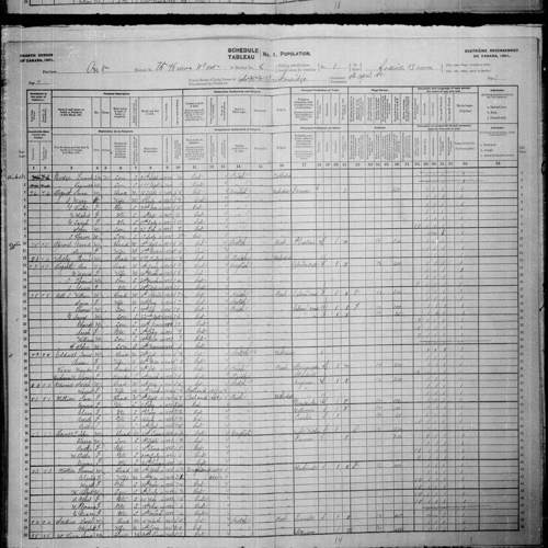 Digitized page of Census of Canada, 1901, Page number 7, for J David Sproul