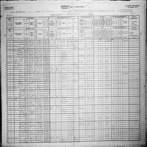 Digitized page of Census of Canada, 1901, Page number 11, for George E Nelson
