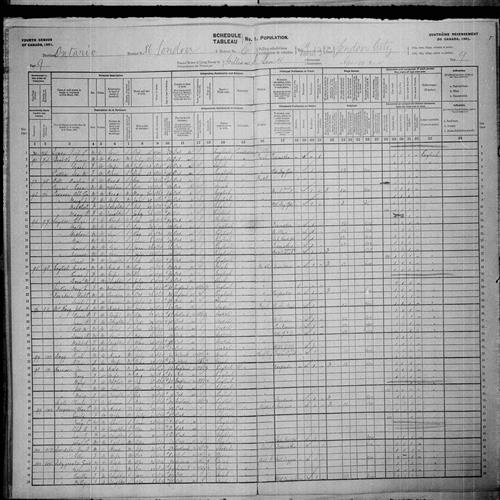 Digitized page of Census of Canada, 1901, Page number 9, for Mary B. Pearson