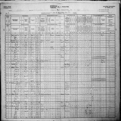 Digitized page of Census of Canada, 1901, Page number 1, for Archie Livingstone