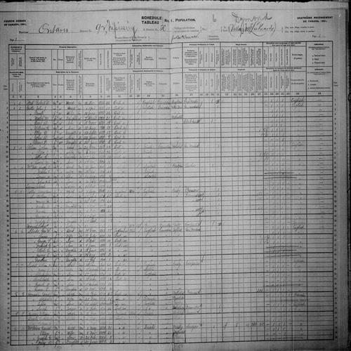 Digitized page of Census of Canada, 1901, Page number 1, for Annie Slade