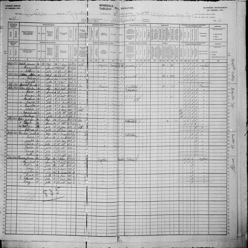 Digitized page of Census of Canada, 1901, Page number 17, for John Graham