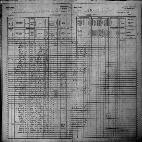 Digitized page of Census of Canada, 1901, Page number 5, for Richard Walsh