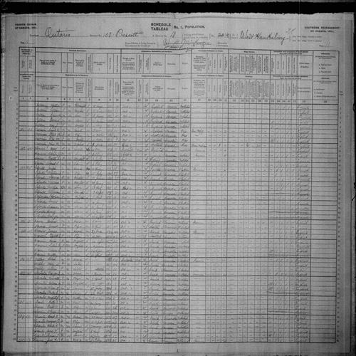 Digitized page of Census of Canada, 1901, Page number 11, for Robert J Howes